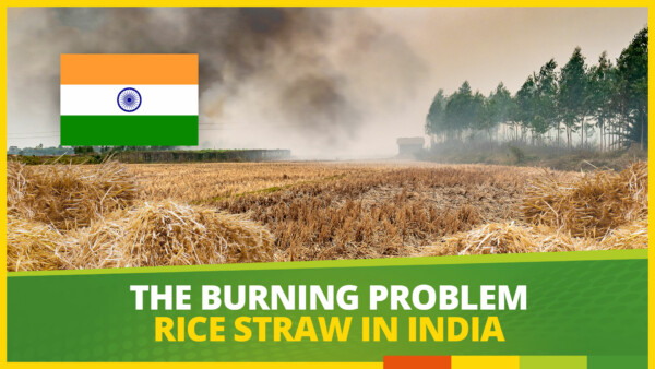 Biogas India: Rice Straw Field And Stubble Burning In India